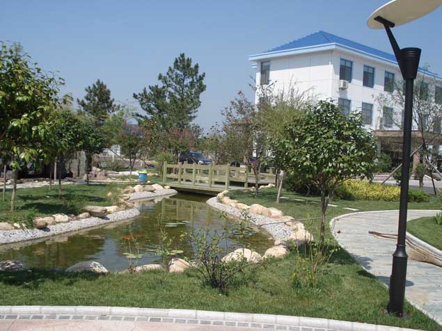 新东公司厂区景观绿化实景2